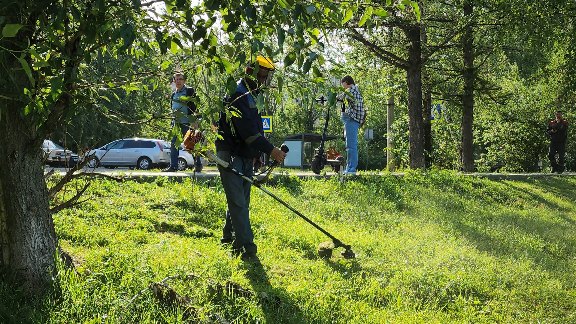 покос травы, Лобня, Благоустройство ,