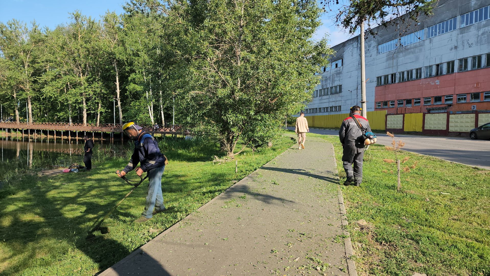 покос травы, Лобня, Благоустройство ,