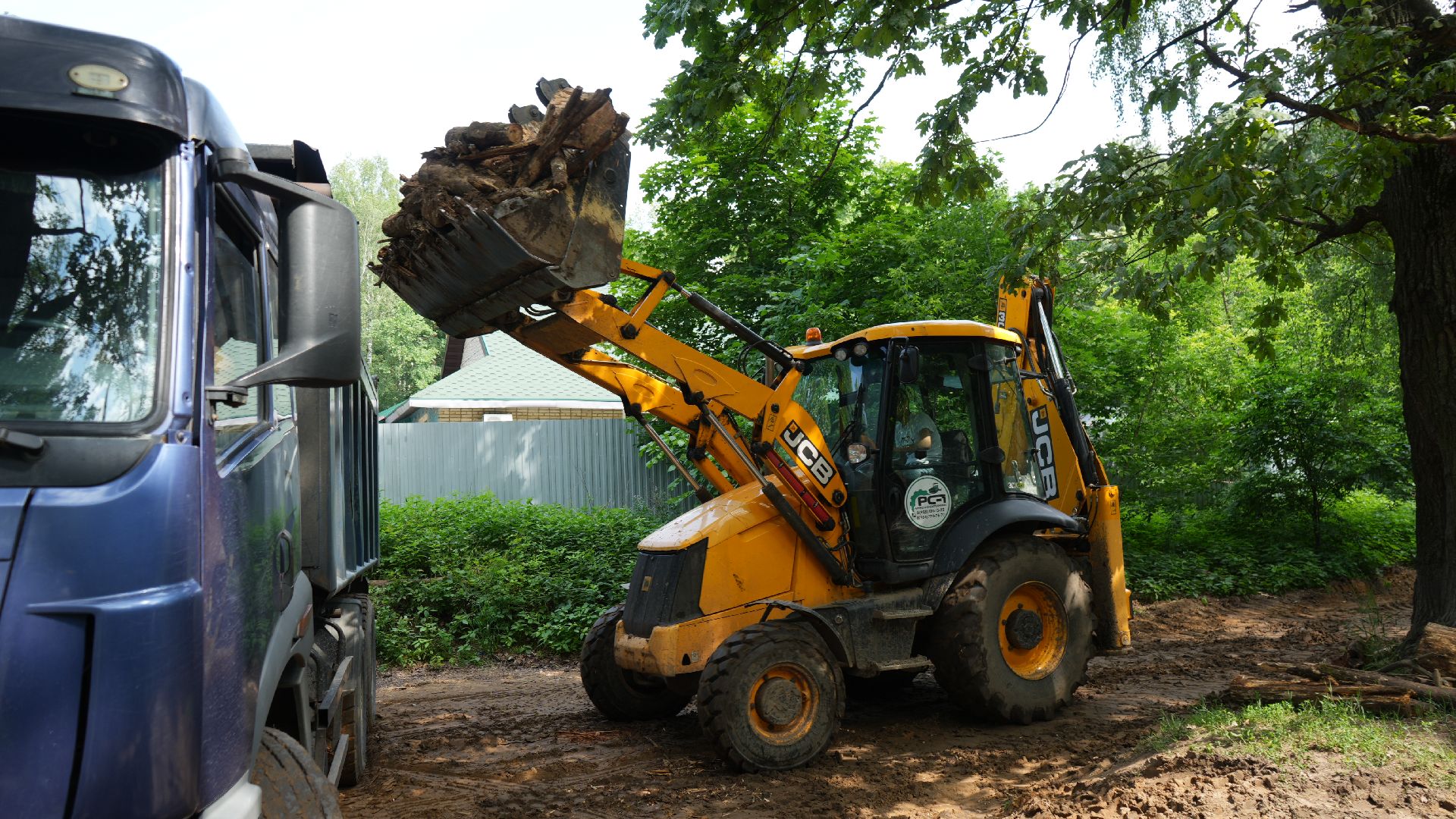 лес, томилинский лесопарк,