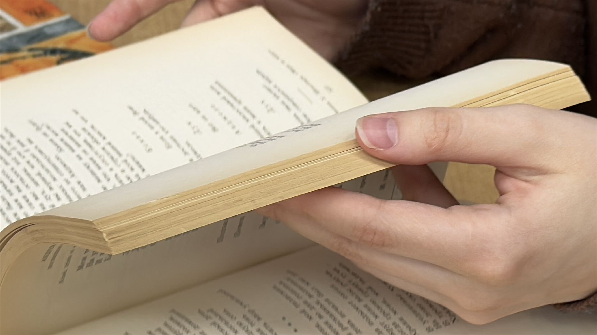 Мультистобалльница из Одинцова, ЕГЭ, Образование, Выпускники 2025,