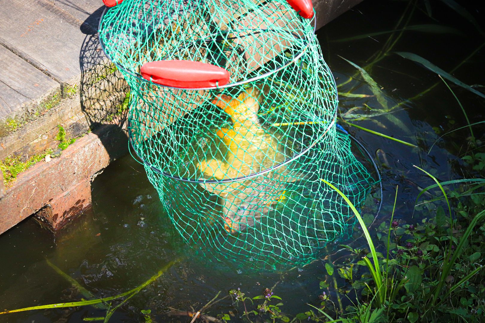 клин, общество, экономика, рабалка,