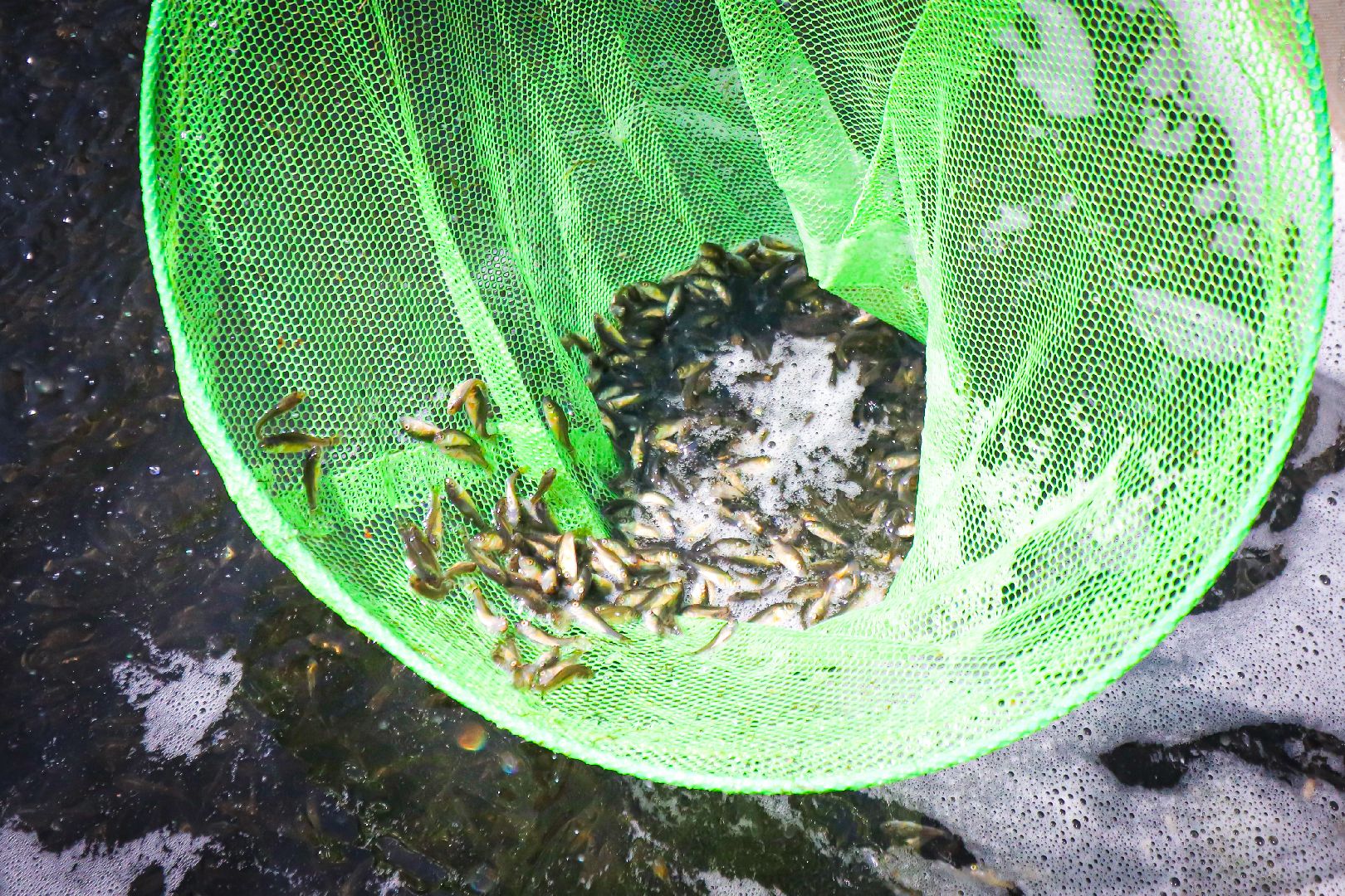 клин, общество, экономика, рабалка,