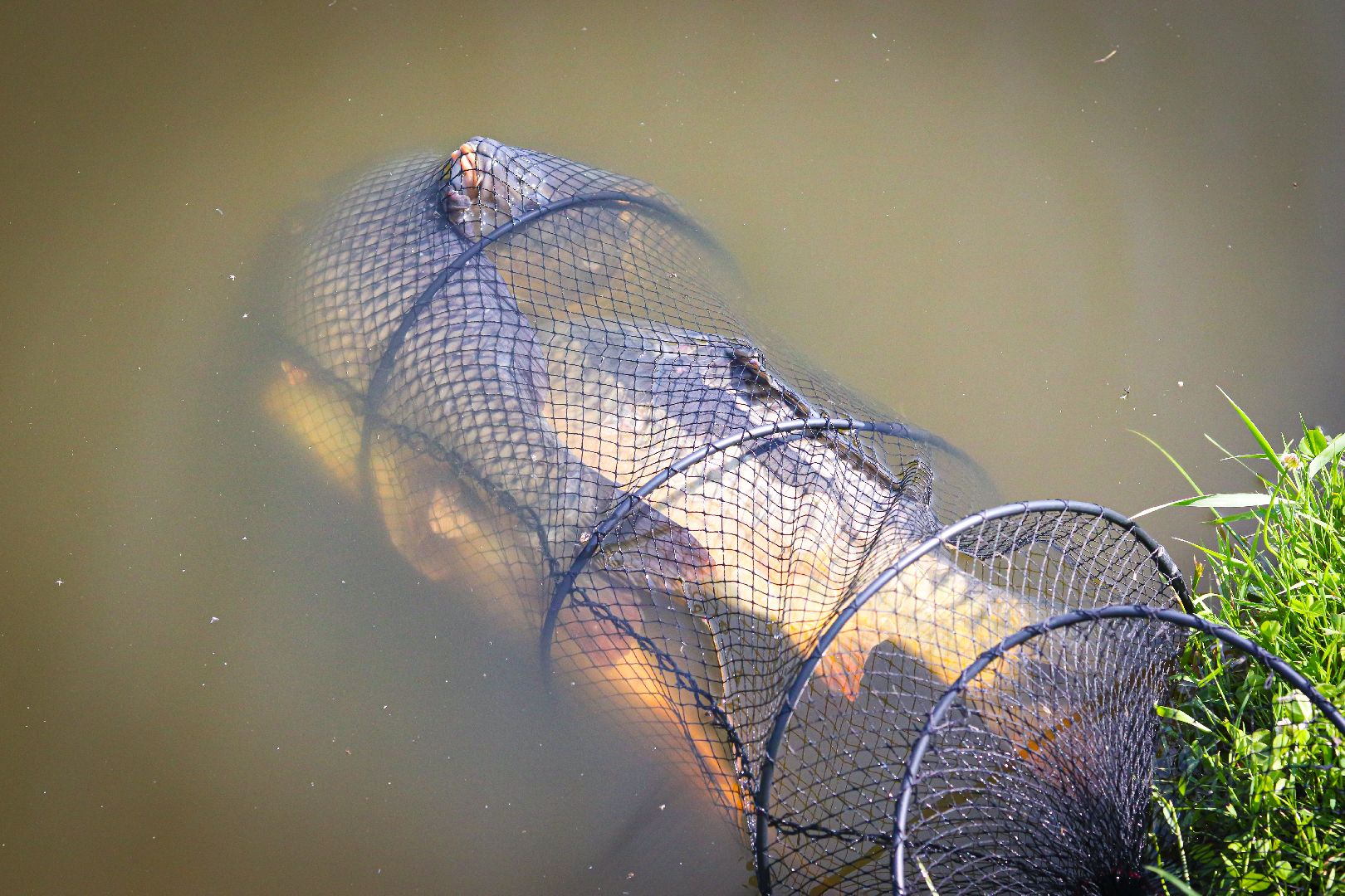 клин, общество, экономика, рабалка,