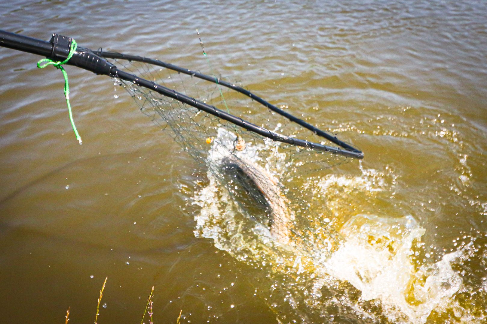 клин, общество, экономика, рабалка,