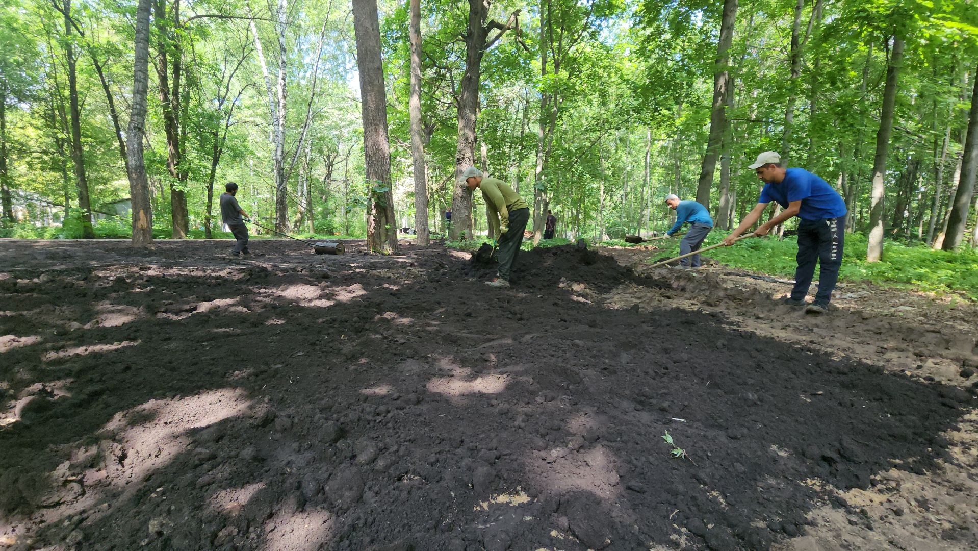 Химки, Парки, благоустройство 2023,