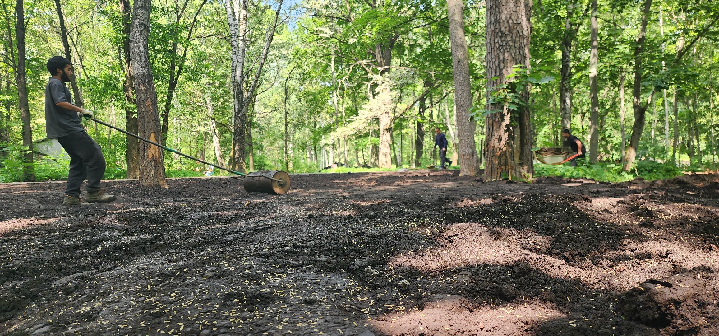 Химки, Парки, благоустройство 2023,