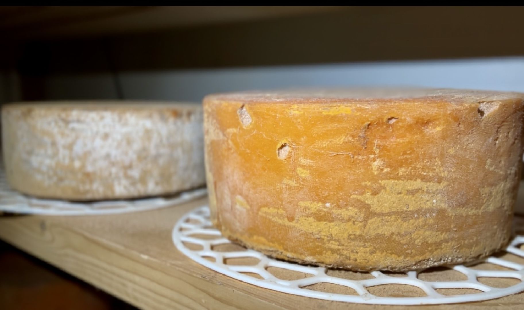 наро-фоминский городской округ, фермер, сыроварня, фермерское хозяйство , тахир джаппуев,