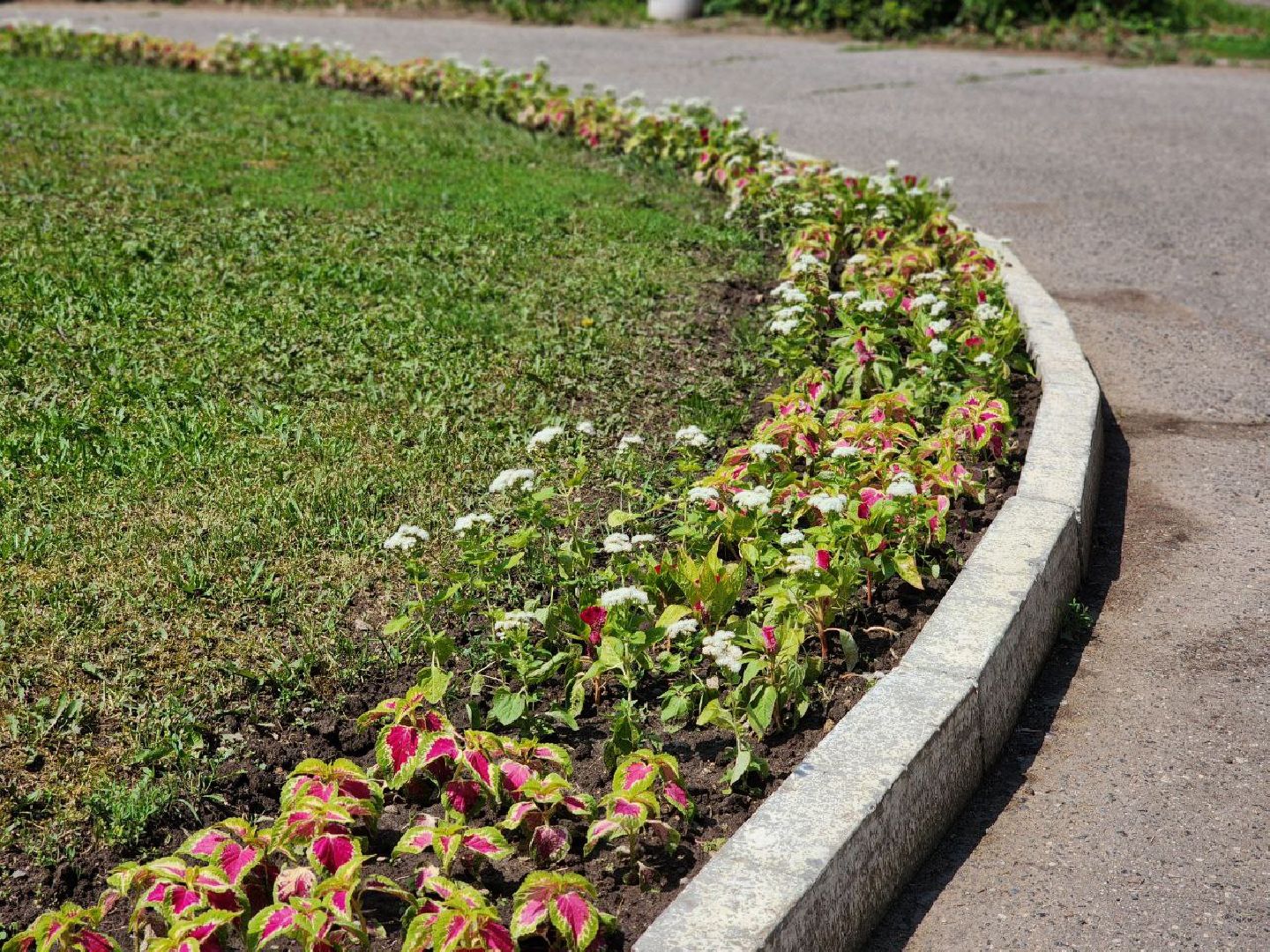 воскресенск, благоустройство, дворец культуры химик,