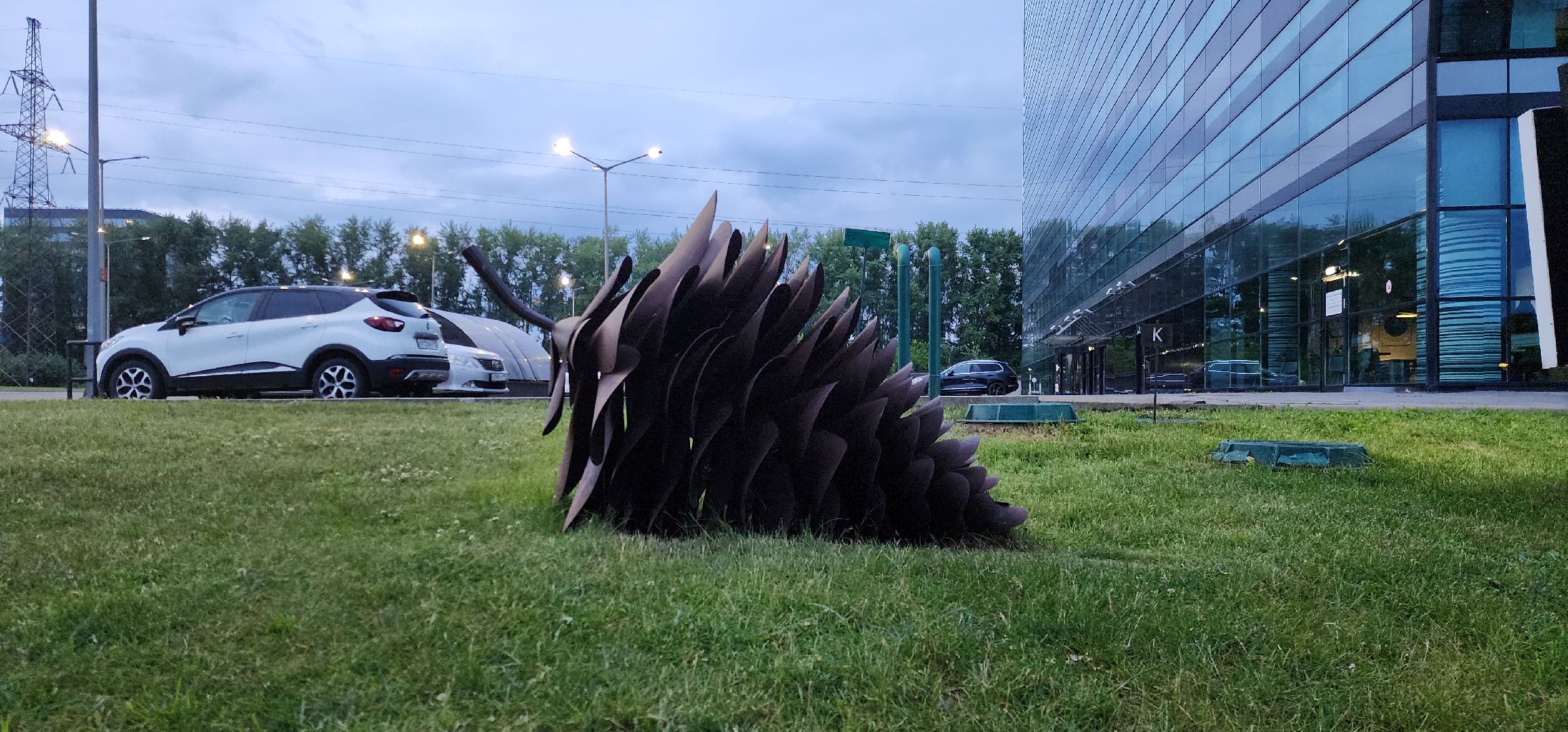 Химки, Природа Подмосковья , растениеводство, Сады, Цветоводство,