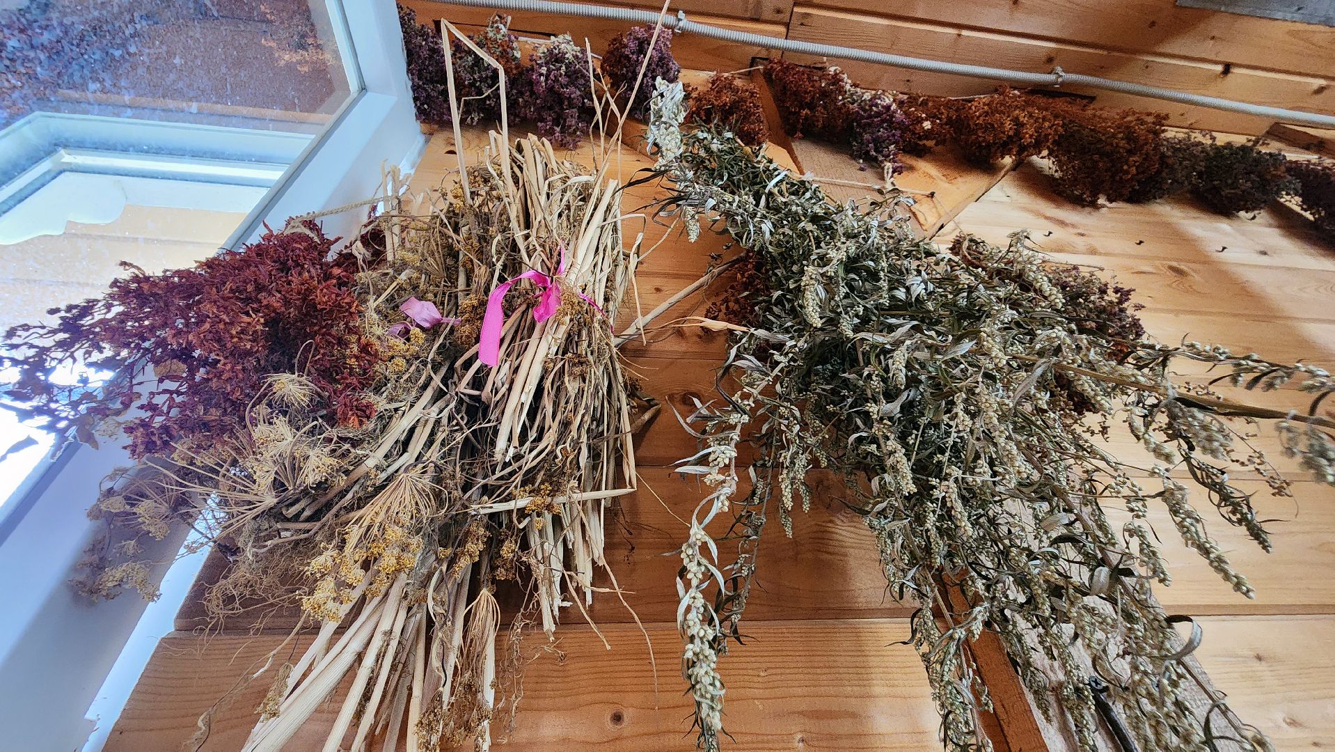 Руза, туризм в рузе, Муза Рузы,