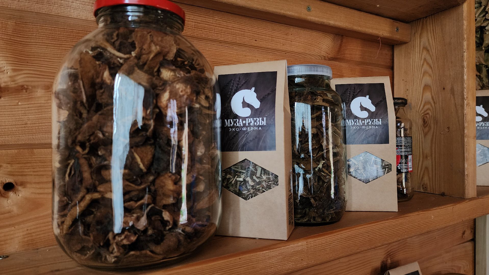 Руза, туризм в рузе, Муза Рузы,