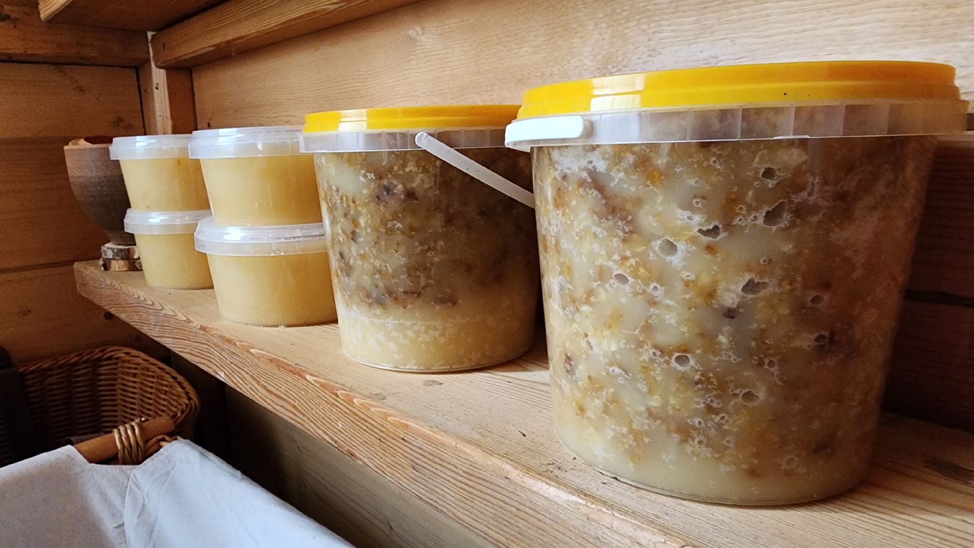 Руза, туризм в рузе, Муза Рузы,