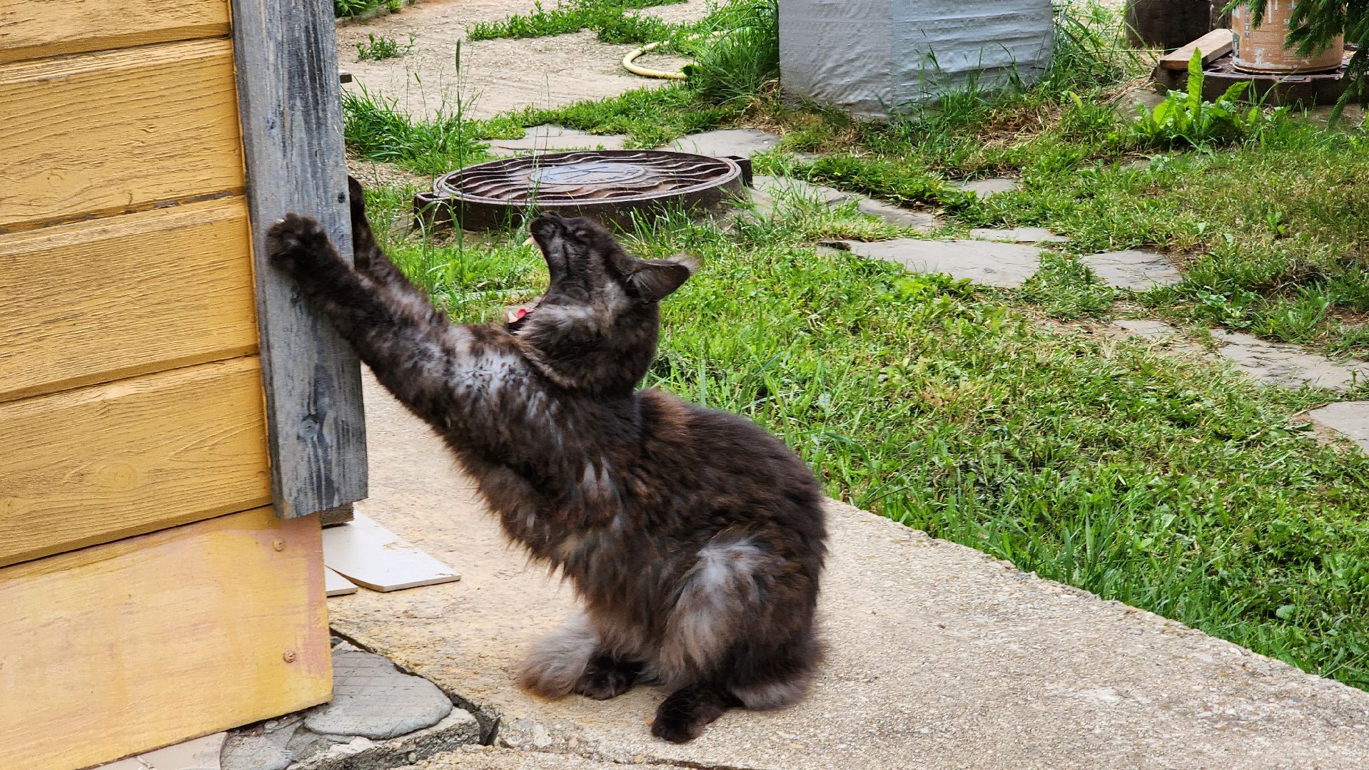 Руза, туризм в рузе, Муза Рузы,