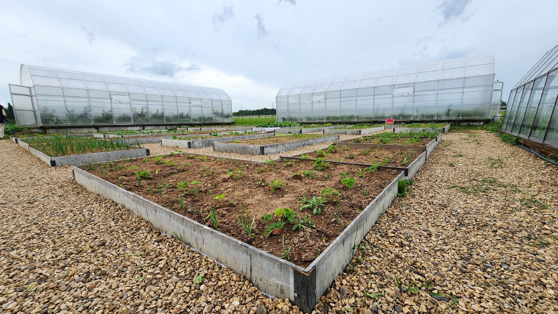 Руза, туризм в рузе, Муза Рузы,