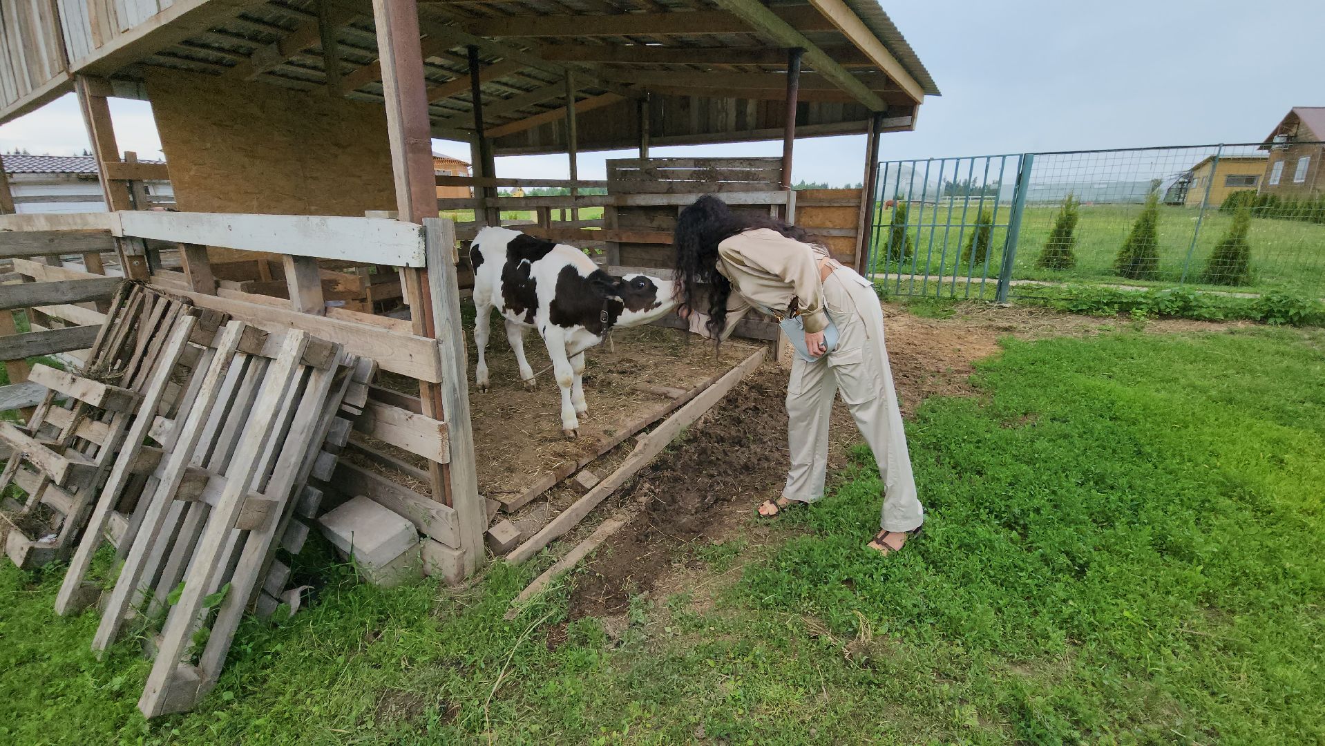 Руза, туризм в рузе, Муза Рузы,