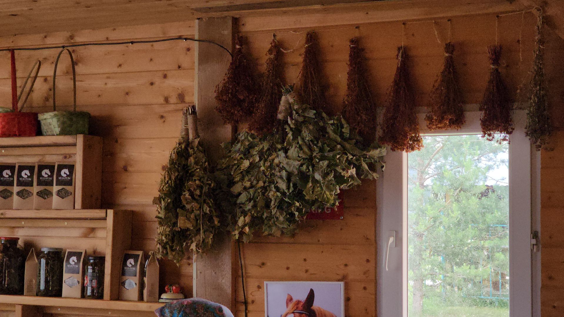 Руза, туризм в рузе, Муза Рузы,