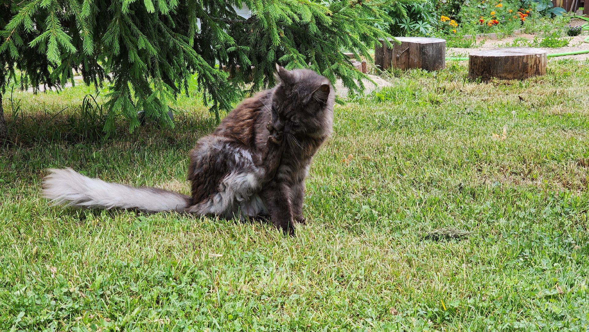 Руза, туризм в рузе, Муза Рузы,