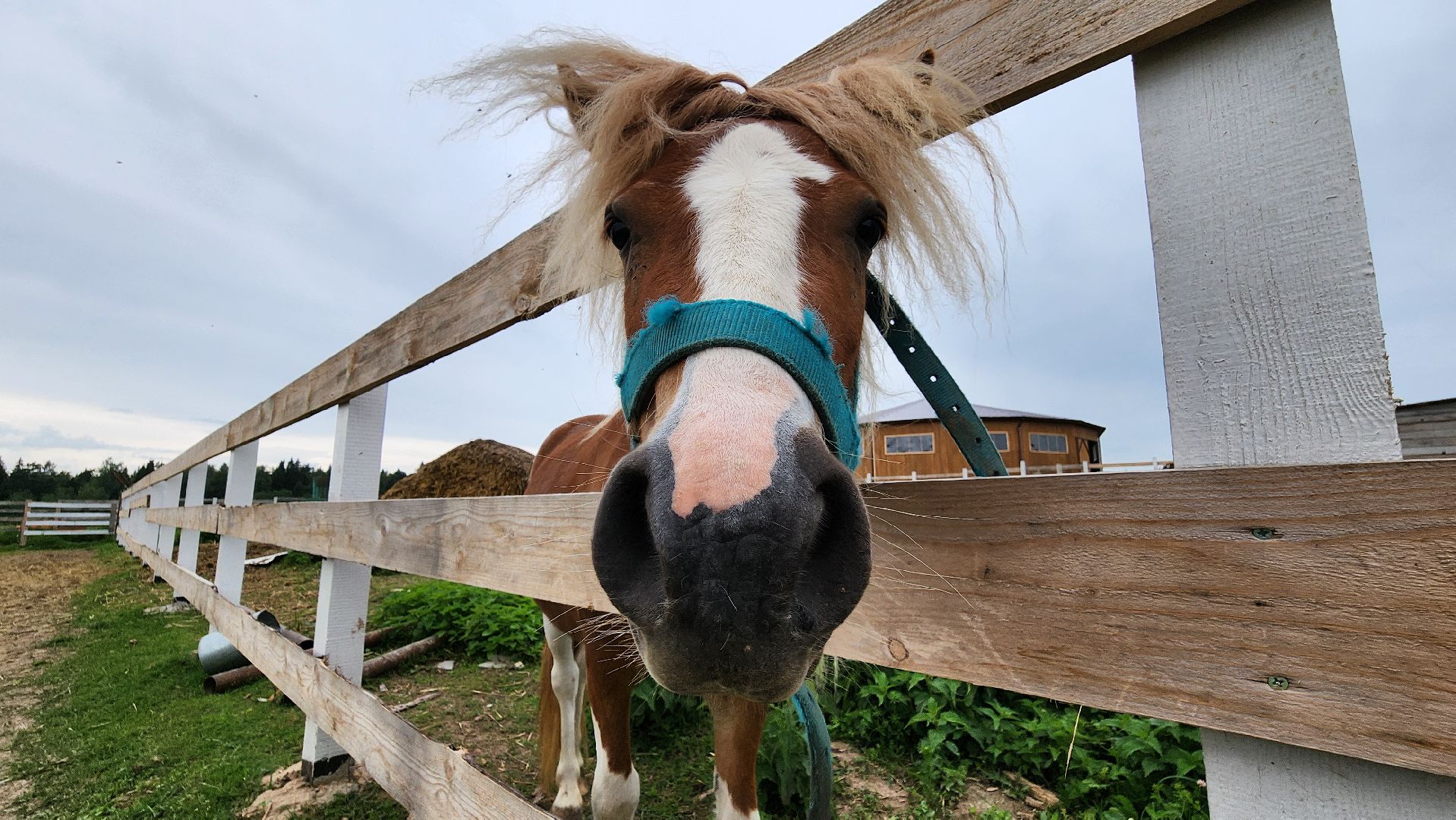 Руза, туризм в рузе, Муза Рузы,