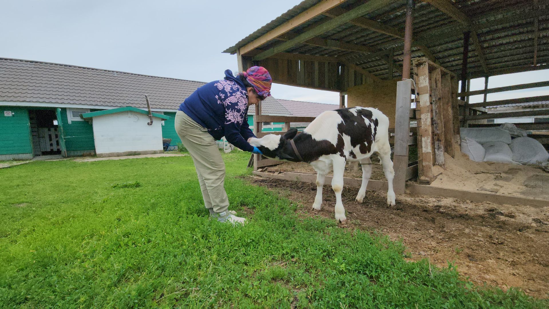 Руза, туризм в рузе, Муза Рузы,