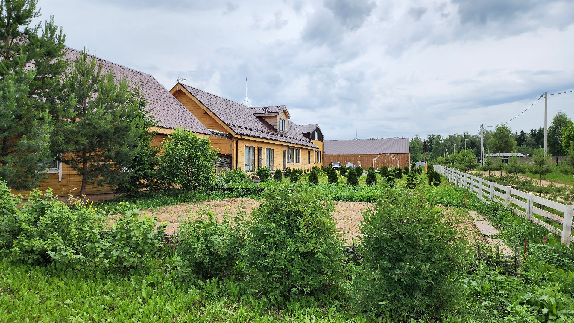 Руза, туризм в рузе, Муза Рузы,