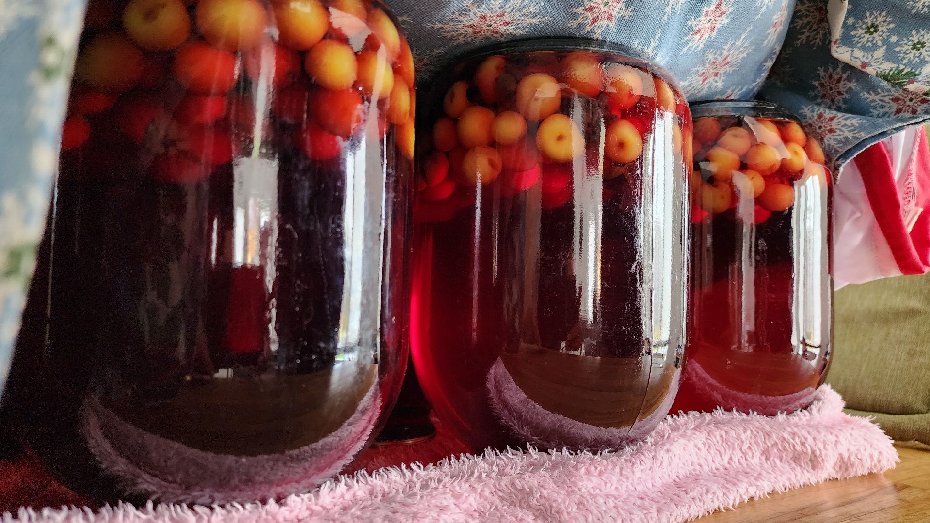 Руза, туризм в рузе, Муза Рузы,