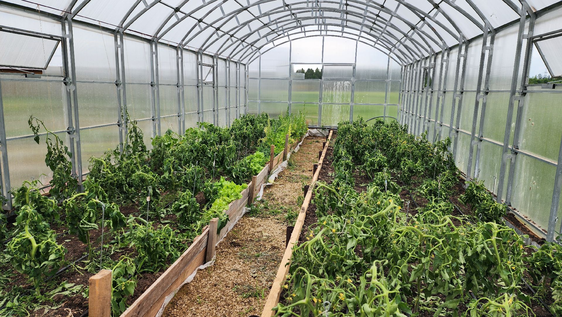 Руза, туризм в рузе, Муза Рузы,