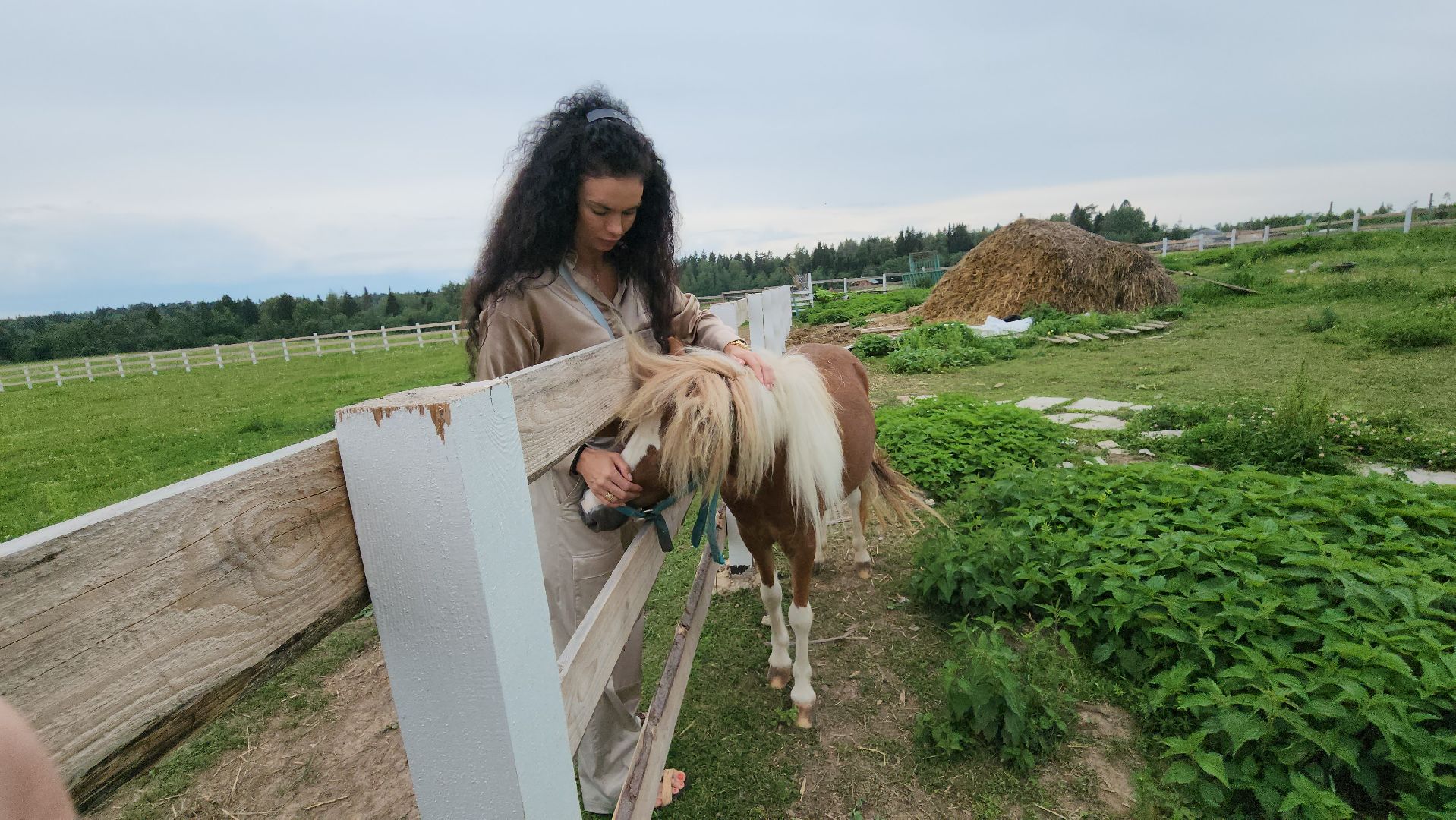 Руза, туризм в рузе, Муза Рузы,