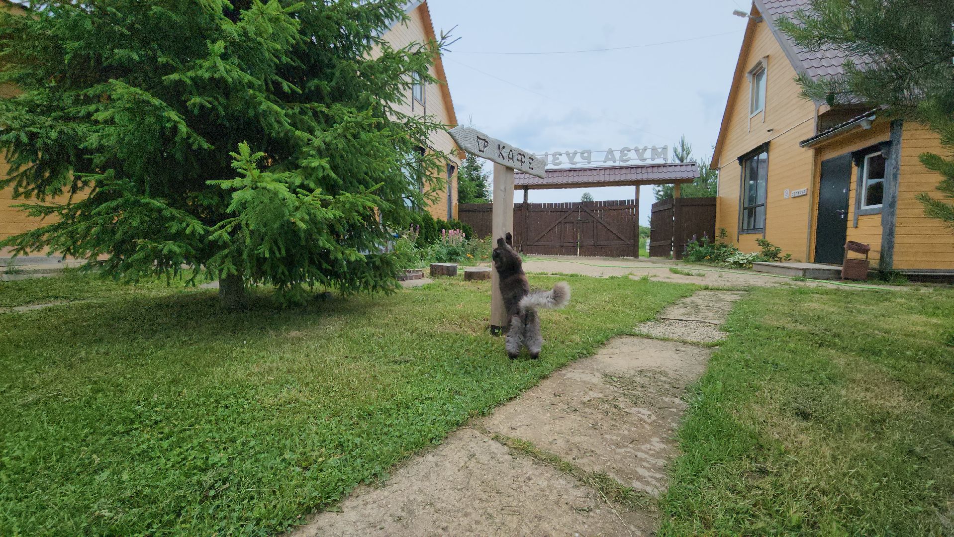 Руза, туризм в рузе, Муза Рузы,