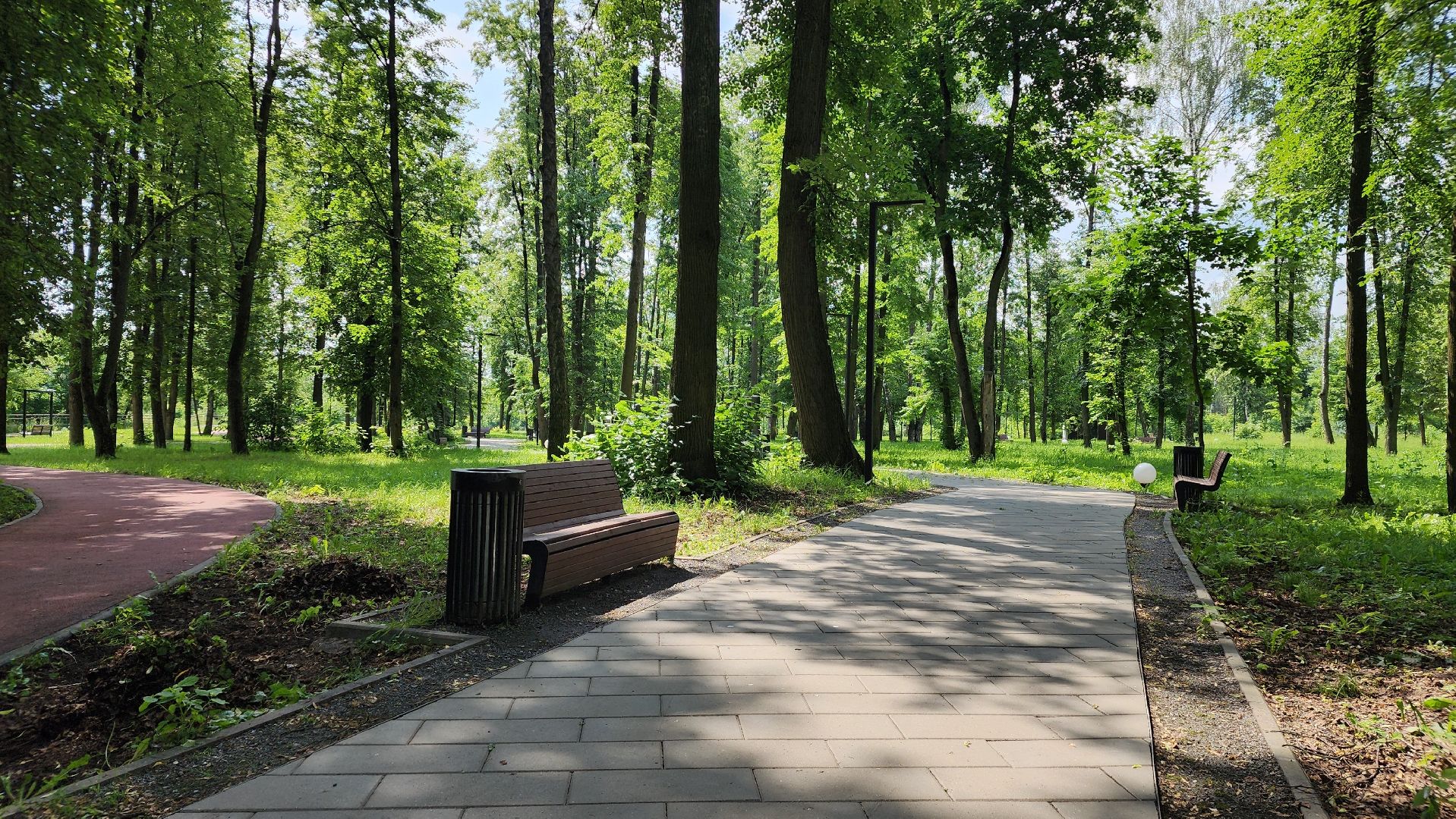 трудовой лагерь, дети, школьники, лосино-петровский,