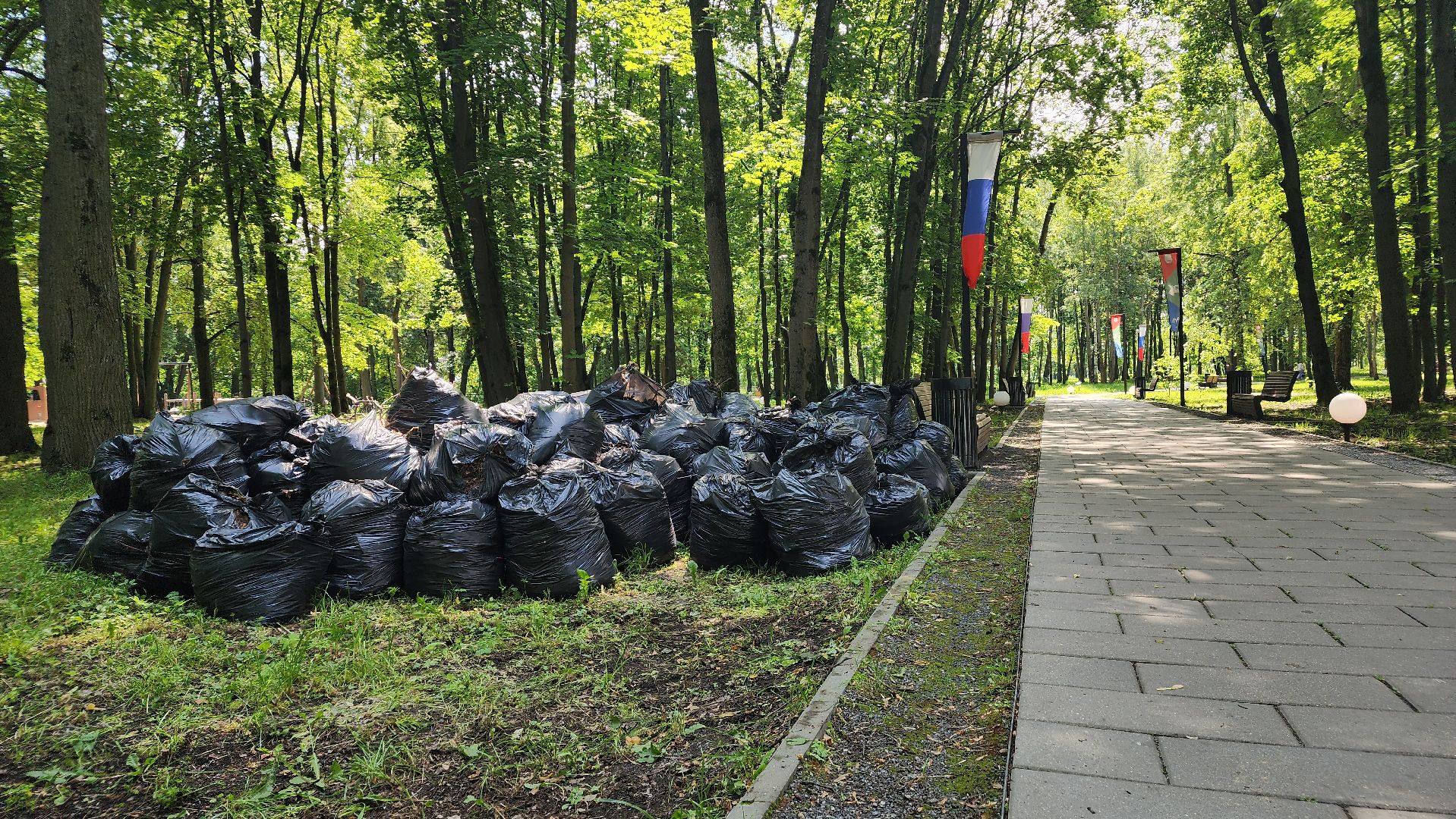 трудовой лагерь, дети, школьники, лосино-петровский,