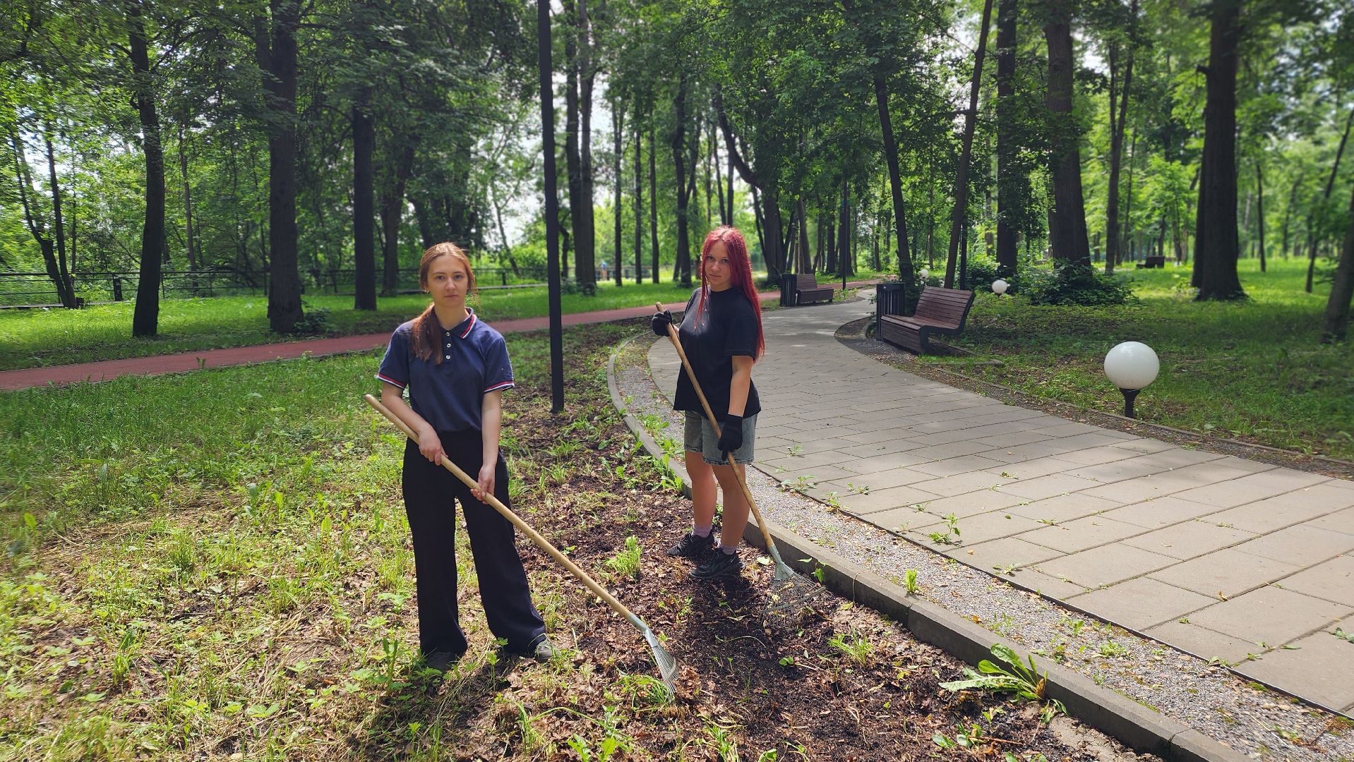трудовой лагерь, дети, школьники, лосино-петровский,