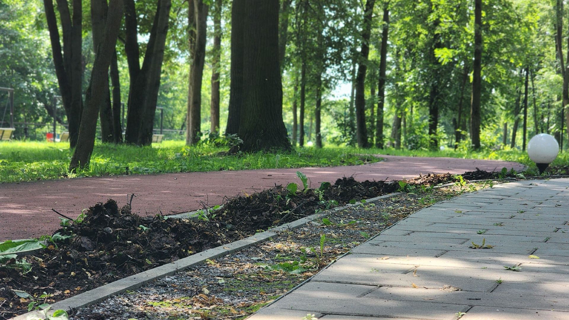 трудовой лагерь, дети, школьники, лосино-петровский,