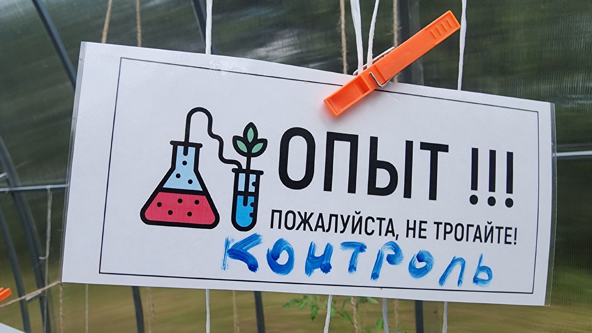 Агрономия, Образование , Профориентация ,