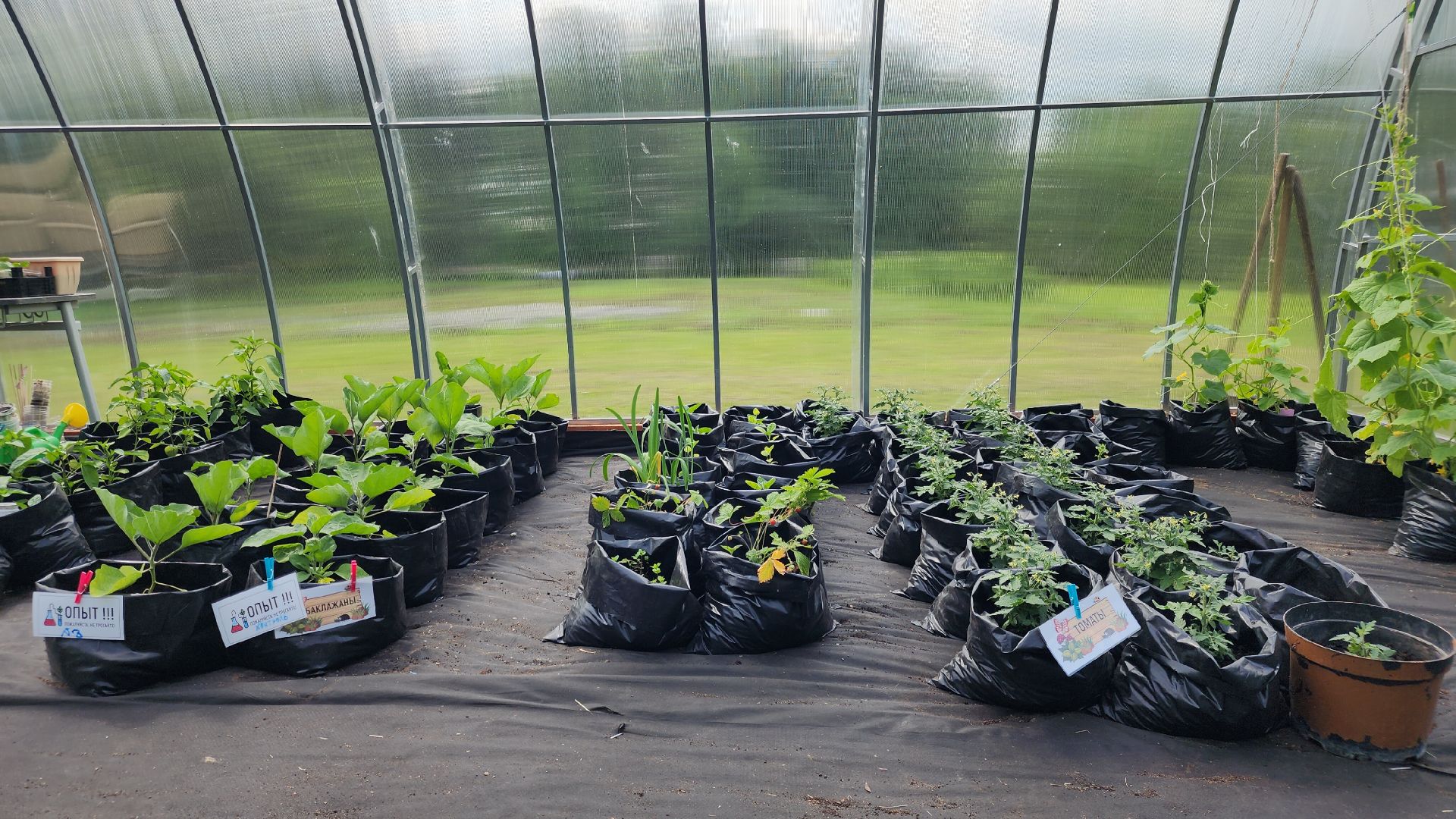 Агрономия, Образование , Профориентация ,