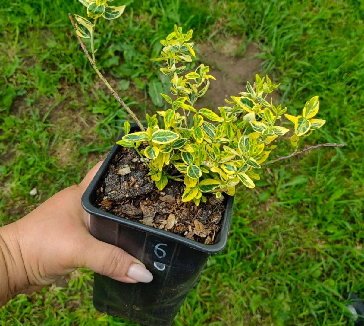 Агрономия, Образование , Профориентация ,