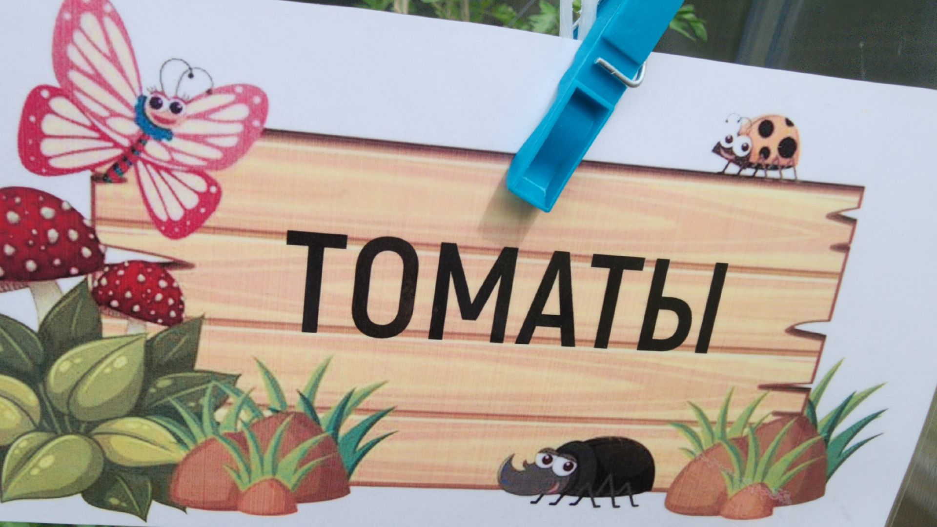 Агрономия, Образование , Профориентация ,