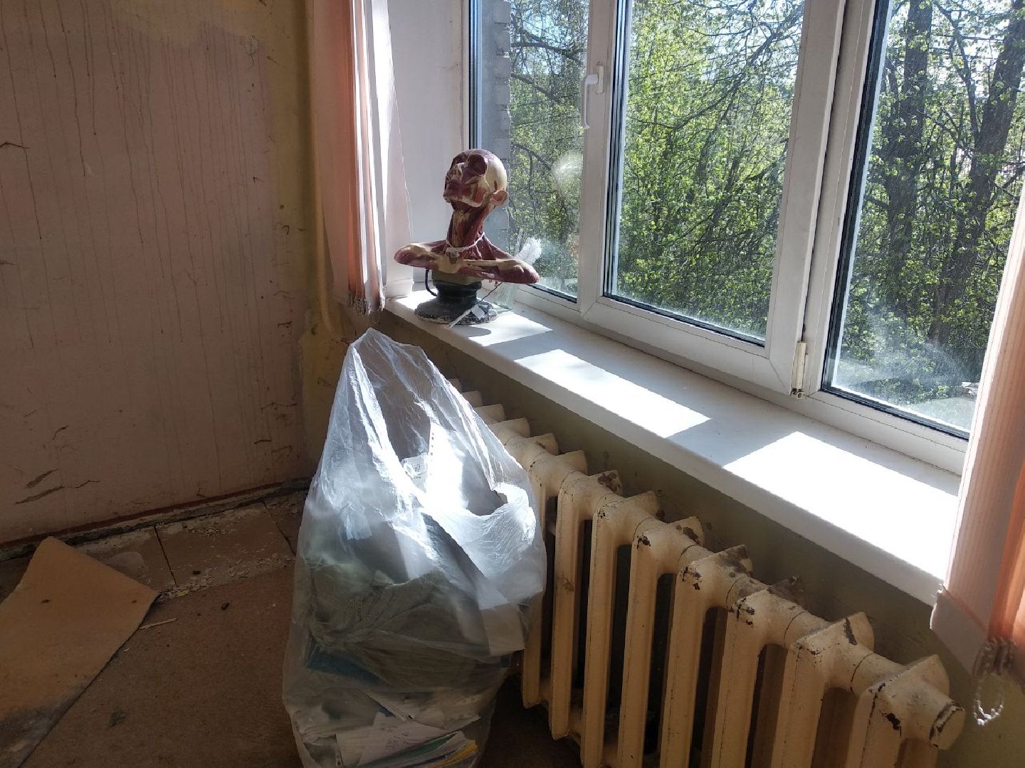 Дмитровский медицинский колледж, Минздрав МО