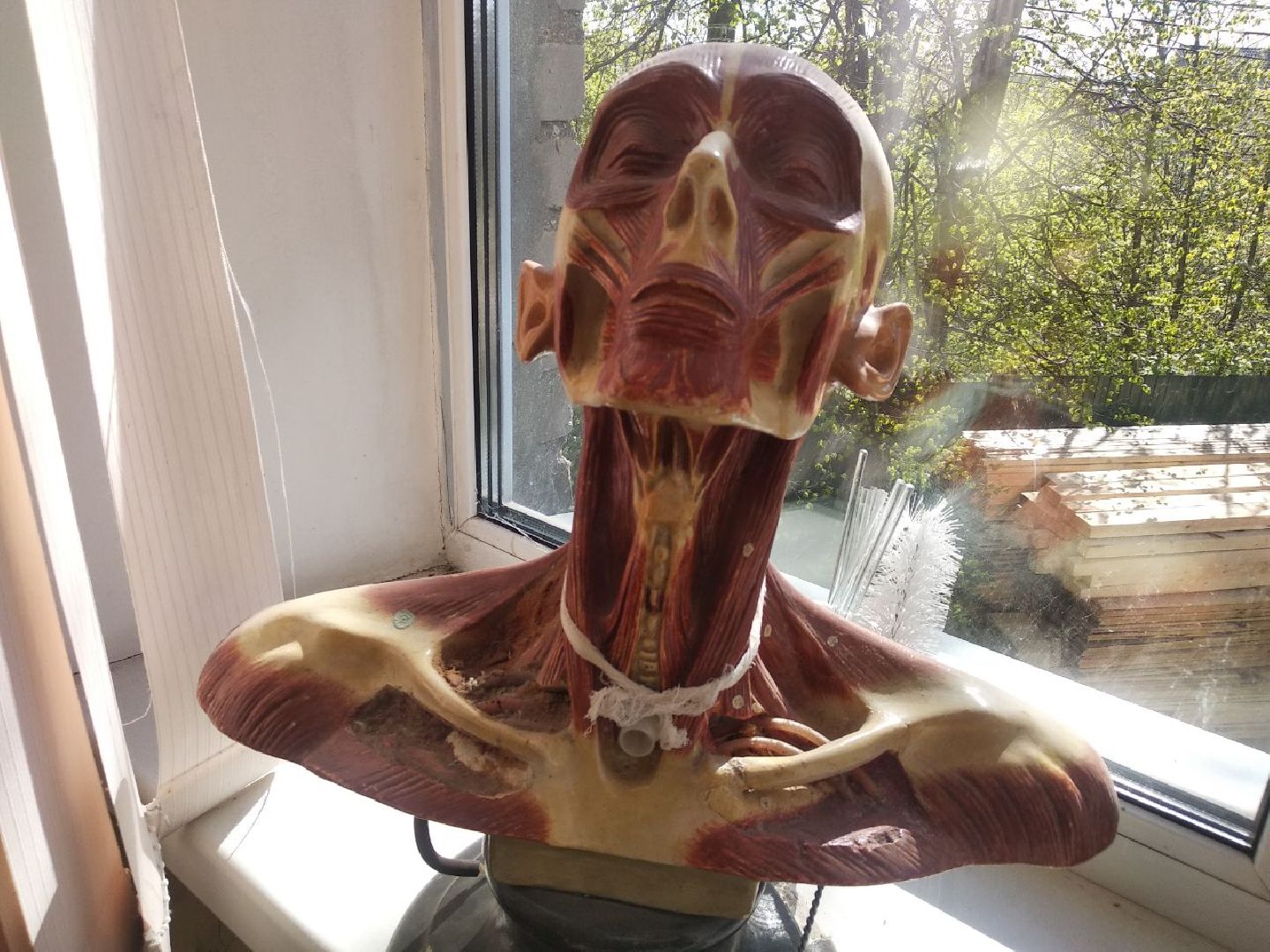 Дмитровский медицинский колледж, Минздрав МО