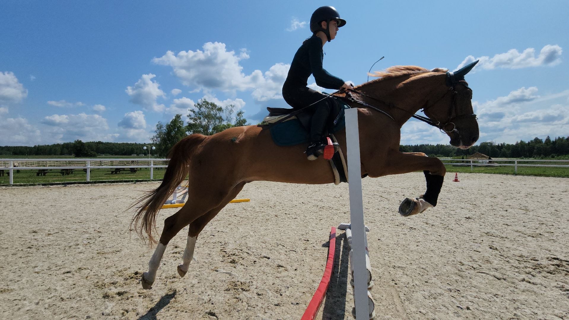 ступино, спорт, конный спорт,конкур,