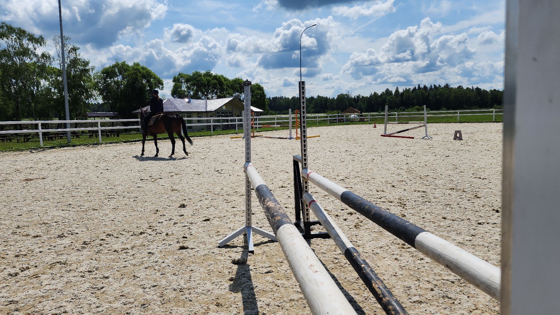 ступино, спорт, конный спорт,конкур,