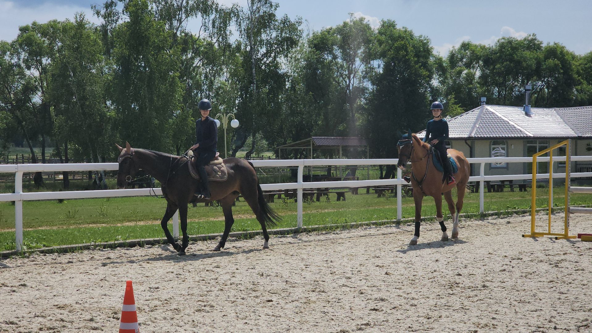 ступино, спорт, конный спорт,конкур,