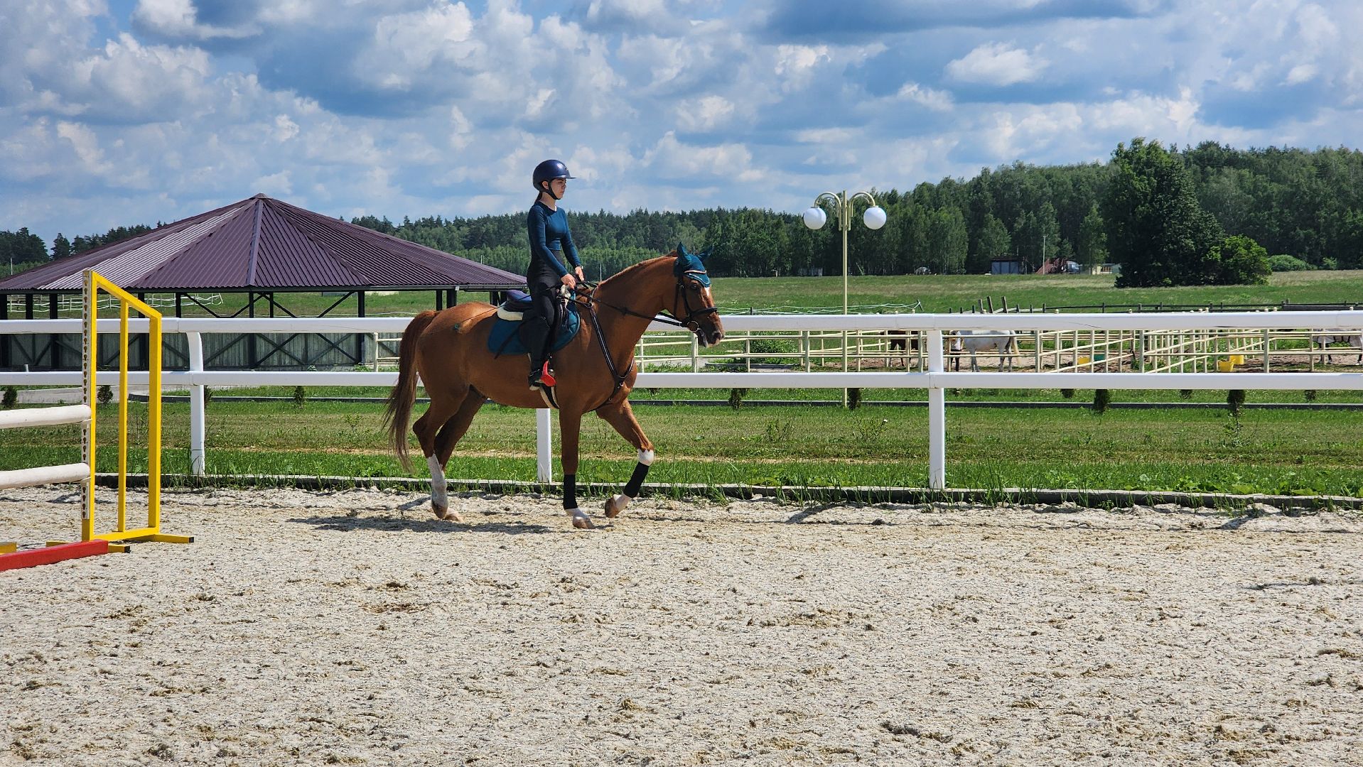 ступино, спорт, конный спорт,конкур,
