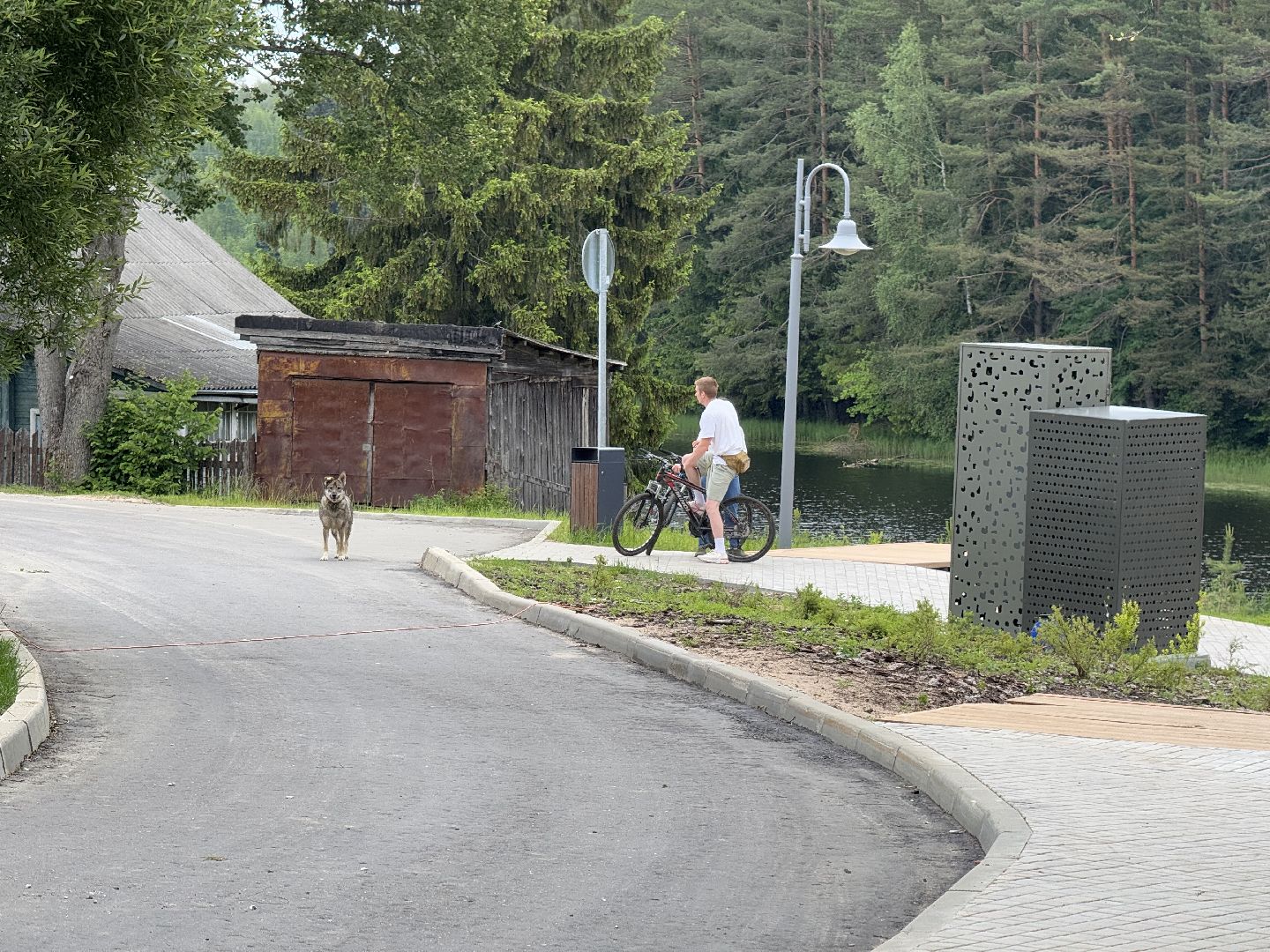 шаховская, плотина, лето в подмосковье, лето в парках,