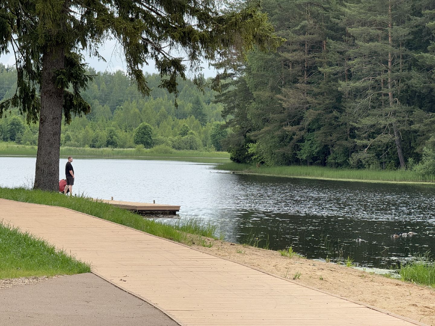 шаховская, плотина, лето в подмосковье, лето в парках,