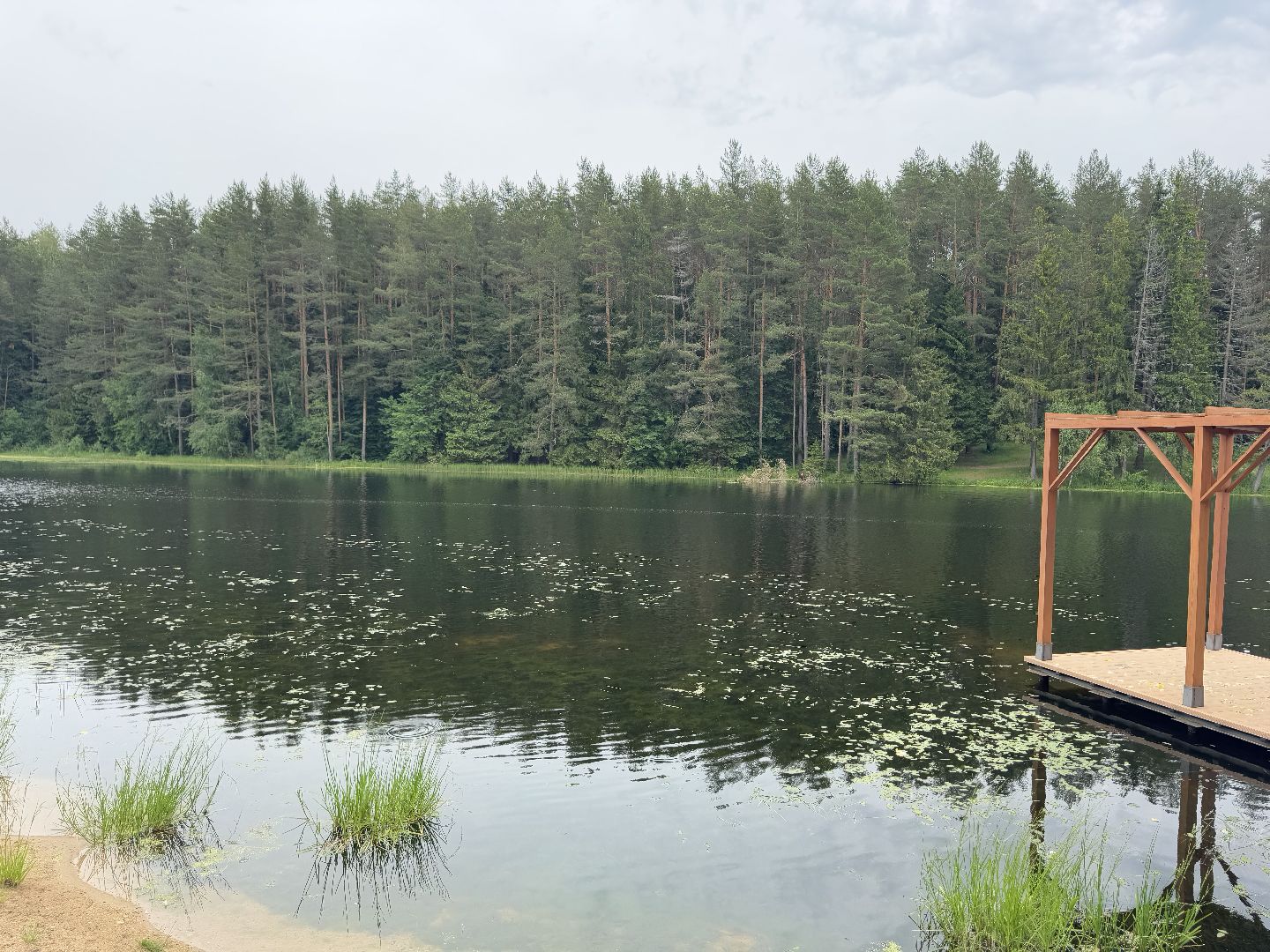 шаховская, плотина, лето в подмосковье, лето в парках,