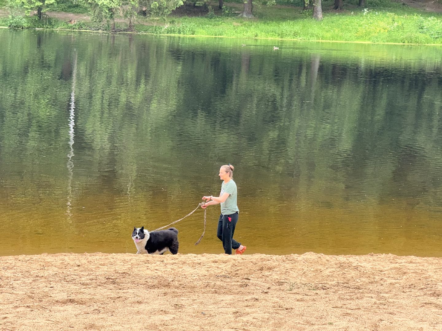 шаховская, плотина, лето в подмосковье, лето в парках,