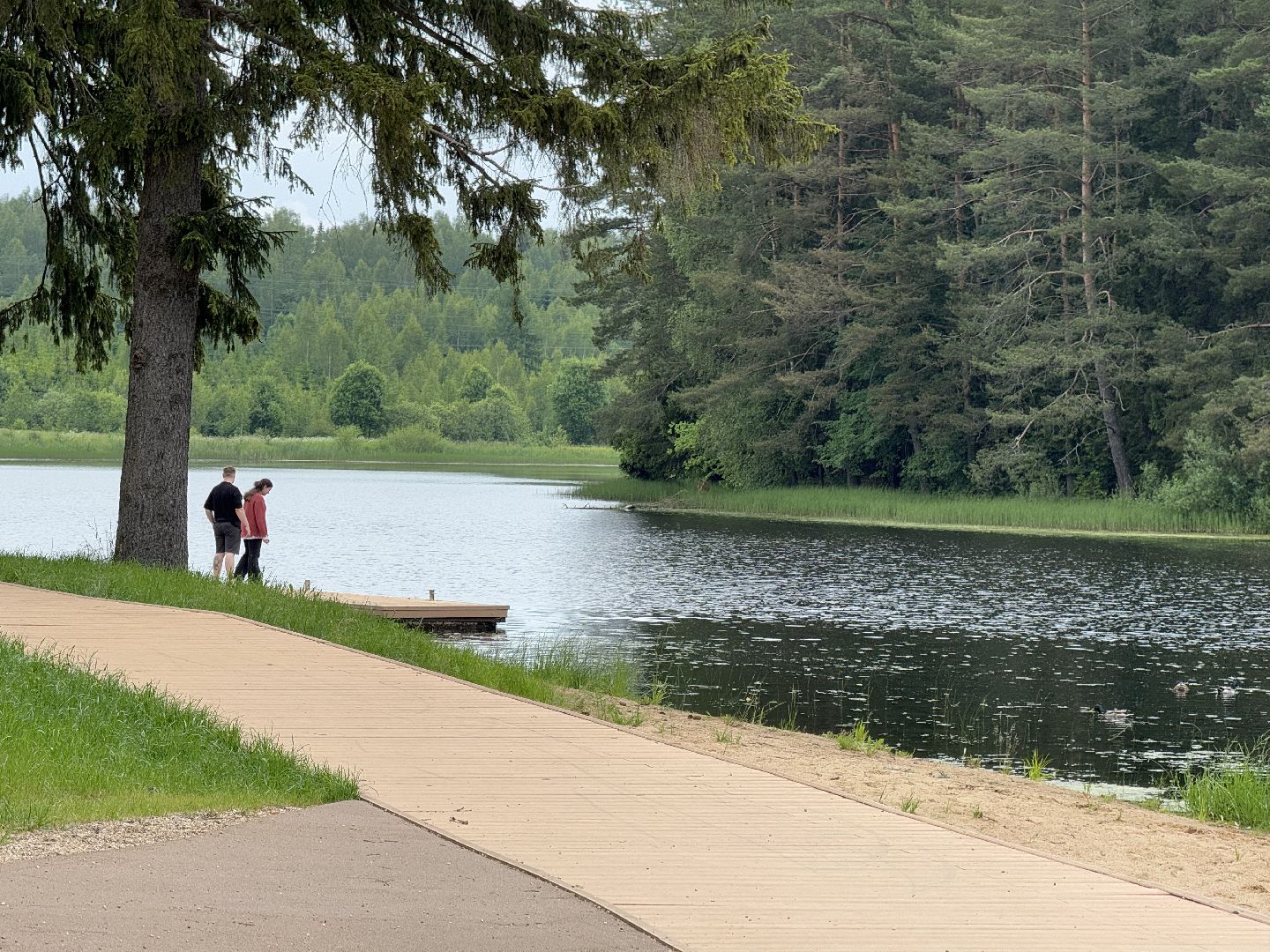 шаховская, плотина, лето в подмосковье, лето в парках,