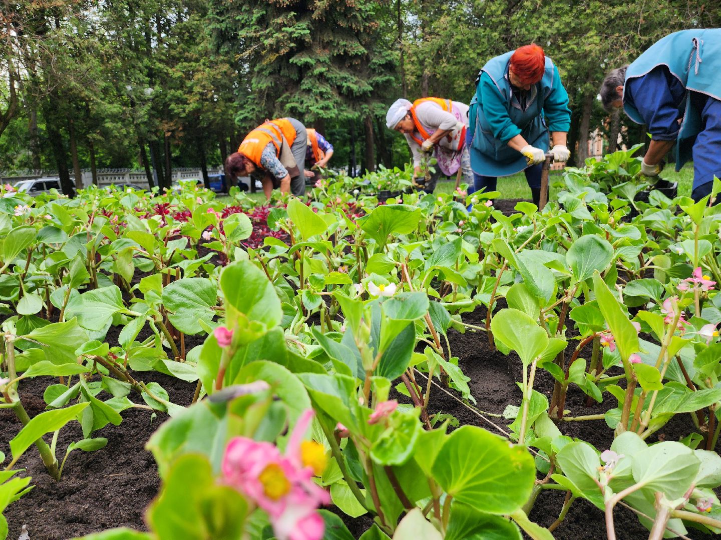 серпухов, улица ногина, клумбы в сквере, вечный огонь, комбинат благоустройства,