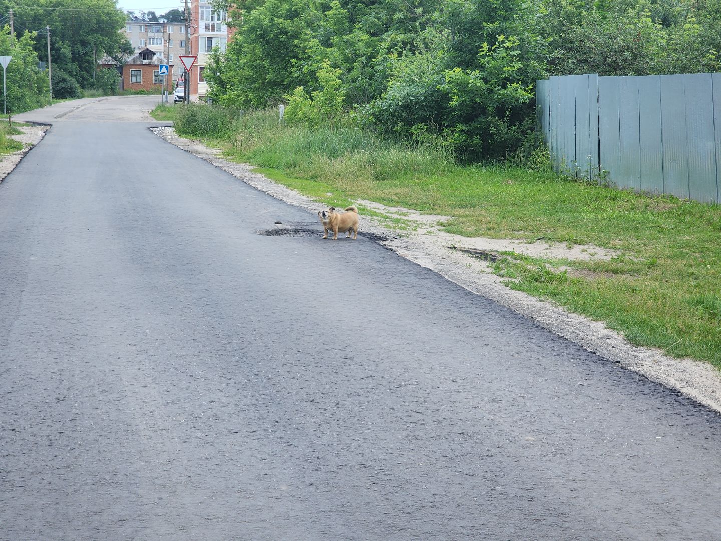 ремонт дорог 2025, орехово-зуевский округ,