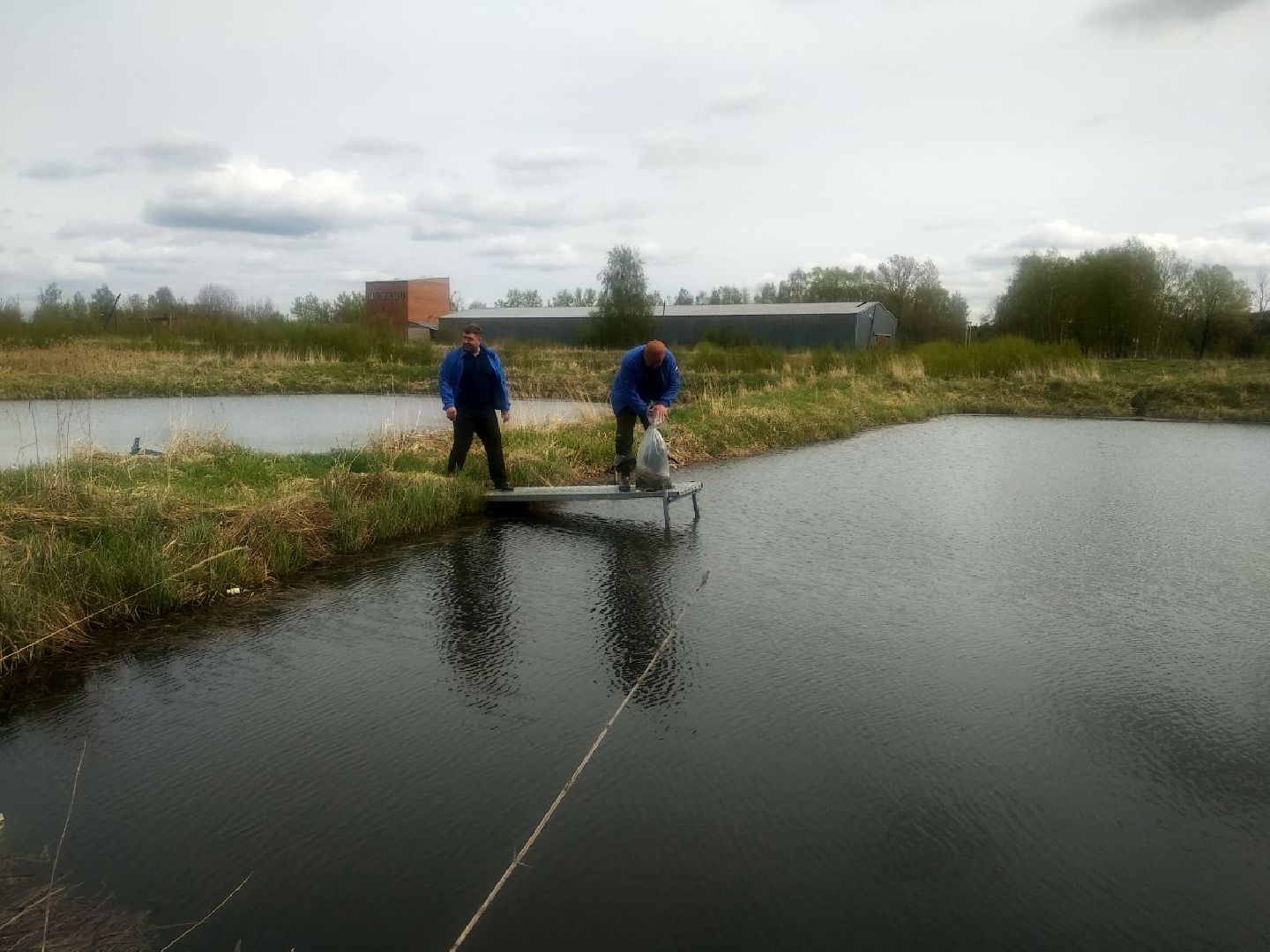 Дмитров, ВНИРО, ВНИИПРХ, Росрыболовство МО